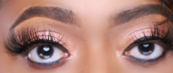 Signature Palette